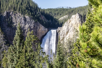 Lower Falls Yellowstone River 2024